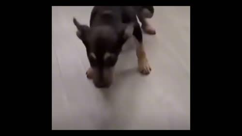 Apologetics should not be so complicated.